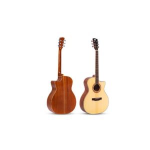LUXARS WY-530SS Acoustic Guitar