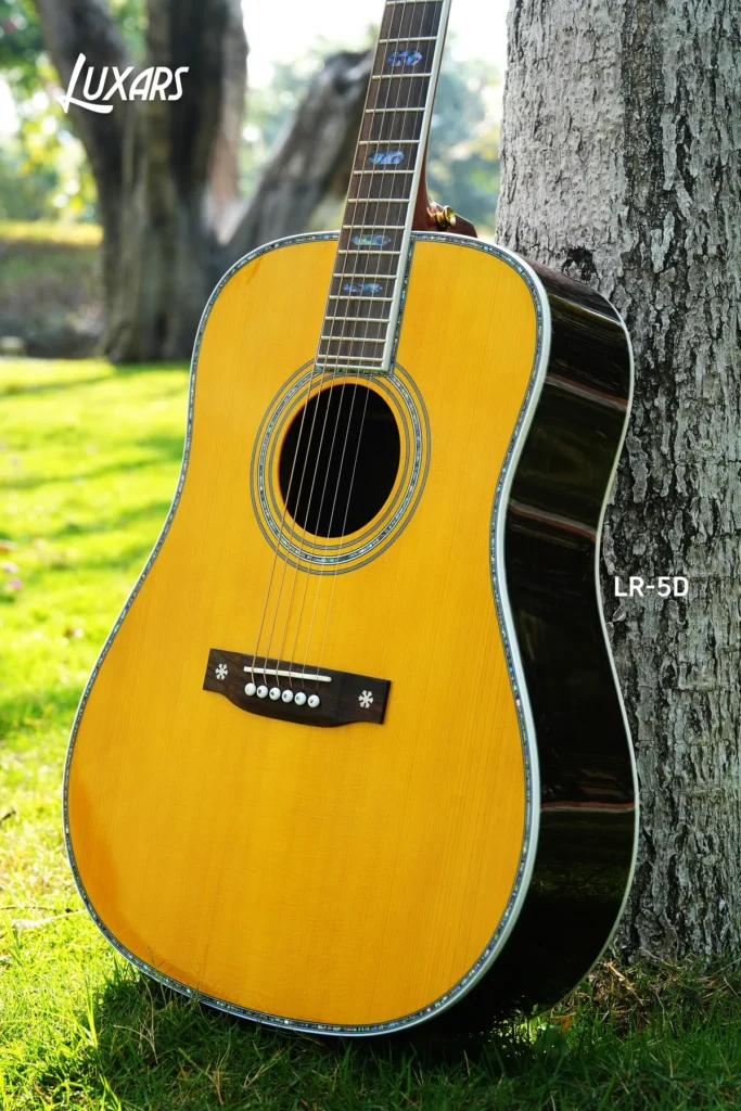 Luxars LR-5D acoustic guitar used as a sample inspection reference
